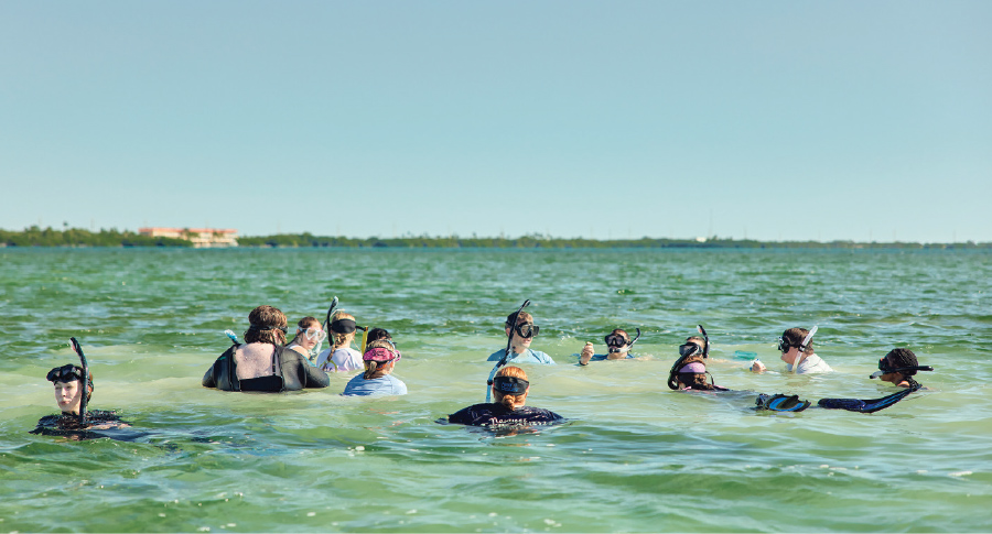 Students kayaked from the station house to Long Key Bight to examine sponges, seagrass and algae