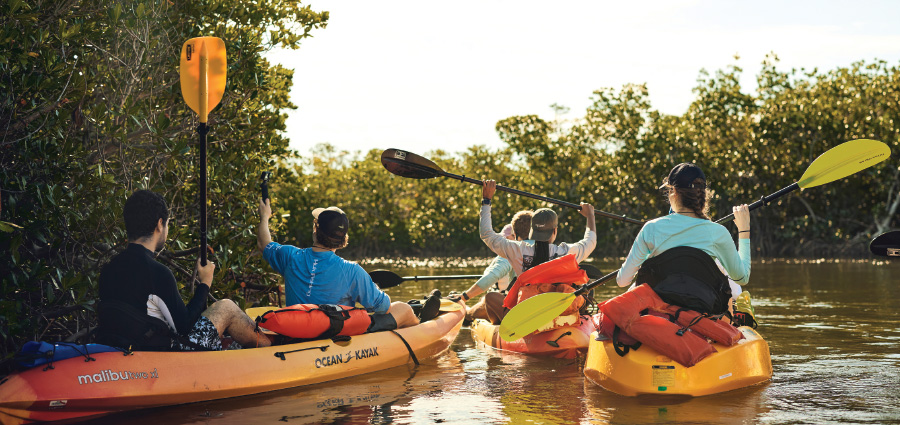 Kayaking through the mangroves.