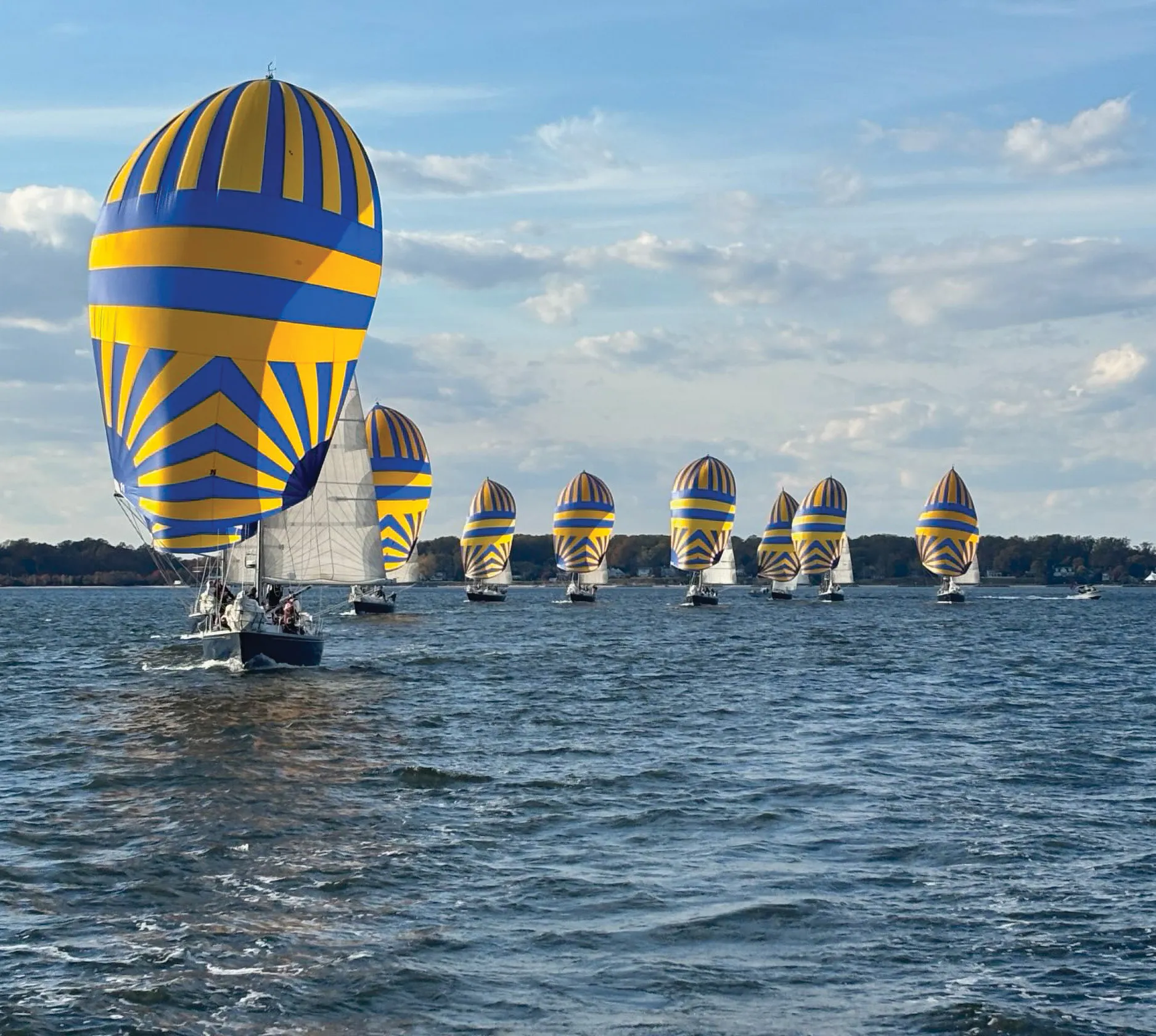 A line of sailboats moves across open water with large blue and yellow spinnaker sails raised, creating a repeating pattern against a partly cloudy sky and distant shoreline.